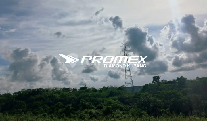 DIJUAL TANAH LOKASI FATUKOA KUPANG DIJUAL TANAH LOKASI FATUKOA KUPANG