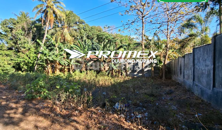 DIJUAL TANAH LOKASI FATUKOA KUPANG DIJUAL TANAH LOKASI FATUKOA KUPANG