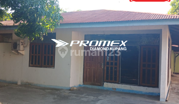 For Rent House Location Oeba Kupang 1