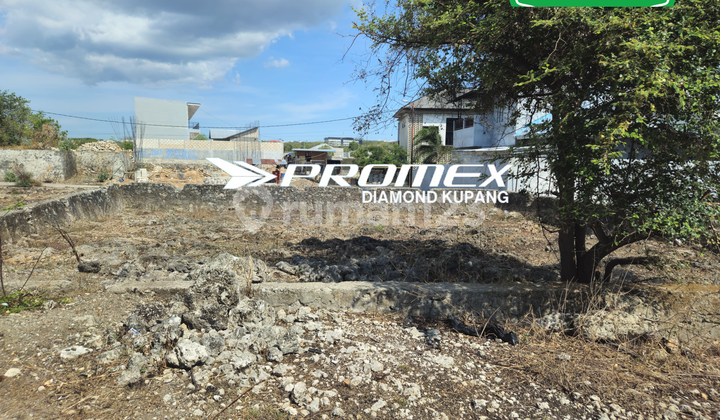 FOR SALE LAND LOCATED AT RSS OESAPA, NON-BLOCKED, KUPANG FOR SALE LAND LOCATED AT RSS OESAPA, NON-BLOCKED, KUPANG