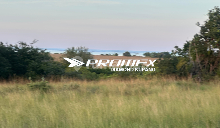 LAND FOR SALE LOCATION EAST SUMBA LAND FOR SALE LOCATION EAST SUMBA