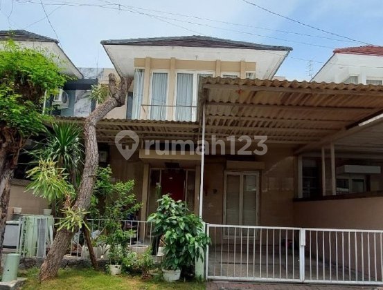 Rumah Pantai Mentari dekat Mulyosari Tambaksari Ploso Lebak (DNDGK) Rumah Pantai Mentari dekat Mulyosari Tambaksari Ploso Lebak (DNDGK)