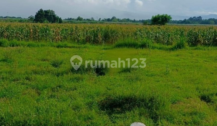 Tanah 0 Jalan Raya di Raya Paiton Probolinggo (Dndgk)