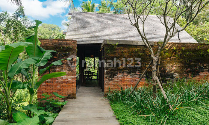 FOR SALE CHEAP VILLA IN UBUD READY TO OCCUPY, TOURIST ACCESS FOR SALE CHEAP VILLA IN UBUD READY TO OCCUPY, TOURIST ACCESS