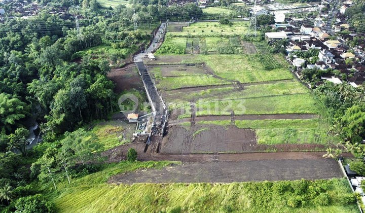 Tanah Kavling Ekslusive Harga Ekonomis View Sawah di Yeh Gangga, Tabanan