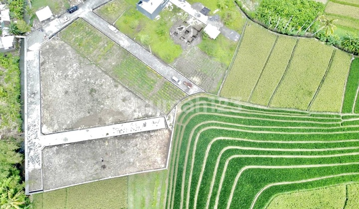 Dijual Tanah Kavling View Sawah di Pantai Yeh Gangga Tabanan