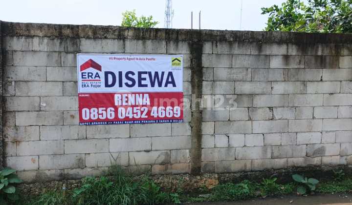 Land for rent suitable for plantations, agriculture, livestock farming, warehouses.