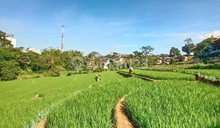 Strategic Land near University in Jatinangor Bandung Strategic Land near University in Jatinangor Bandung