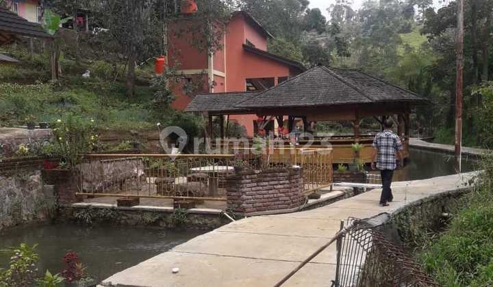 Jual Villa Hitung Tanah saja di Ciwidey, Bandung Jual Villa Hitung Tanah saja di Ciwidey, Bandung