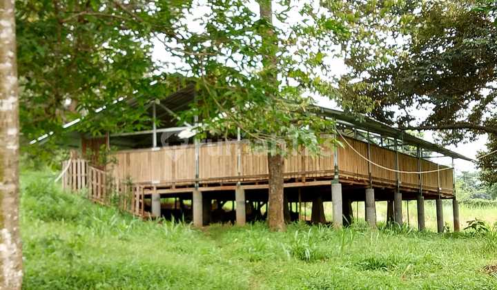 Large Plantation and Livestock Land 9468 M² Near Granada Land, Selawangi, Tanjungsari, Bogor Large Plantation and Livestock Land 9468 M² Near Granada Land, Selawangi, Tanjungsari, Bogor