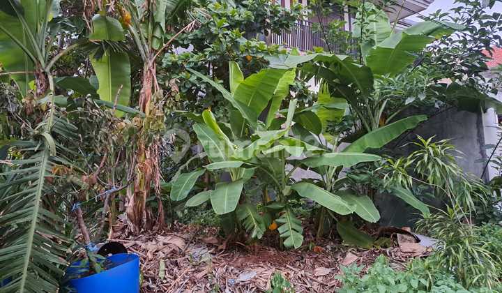 Tanah Kavling Hadap Timur Harga Nego di Kavling Kowilhan, Jakartatimur Tanah Kavling Hadap Timur Harga Nego di Kavling Kowilhan, Jakartatimur