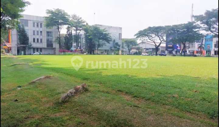 Kavling Komersil Super Langka Alam Sutera Boulevard Tangerang Selatan Kavling Komersil Super Langka Alam Sutera Boulevard Tangerang Selatan