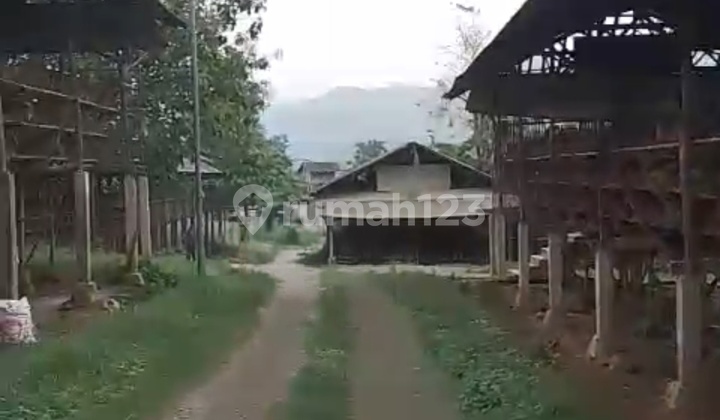 Rare Find, 11.3 Ha Land with Free Laying Hen Farm, Ideal for Investment in Rumpin, Bogor