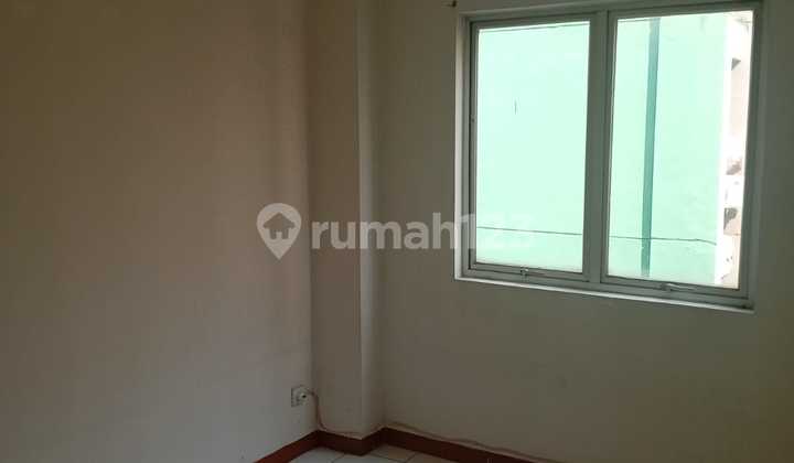 Apartment Palm Mansion (2 BR) 2