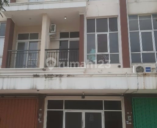 Ruko Royal Palm (Ukuran 4X12 M)