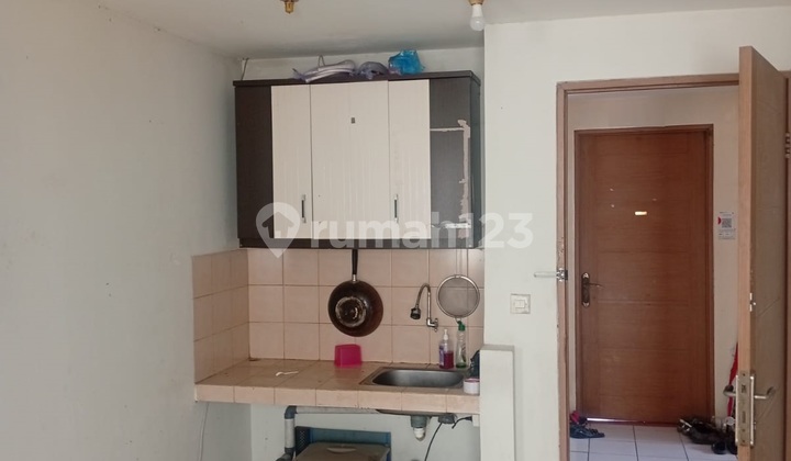 Palm Mansion Apartment (36M Area) 2