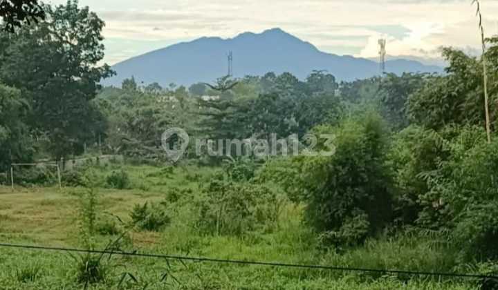 Jual Cepat Tanah Cocok Untuk Perumahan, Desa Citayam/Kalisuren (Kab. Bogor) Jual Cepat Tanah Cocok Untuk Perumahan, Desa Citayam/Kalisuren (Kab. Bogor)