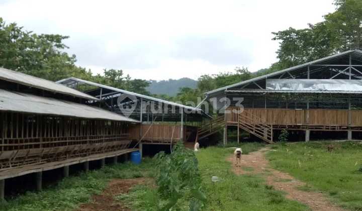 Tanah 9468.0 M² Shm Di Tanjungsari Selawangi Bogor