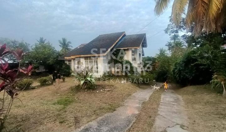 Dijual Tanah Bonus Rumah Jl.thamrin