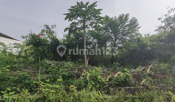 Dijual Tanah Keras Posisi Hook Lokasi Strategis di Jl. Cemara