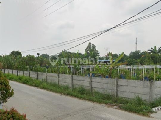 Dijual Tanah Luas 2000m2 di Riau Ujung Dijual Tanah Luas 2000m2 di Riau Ujung