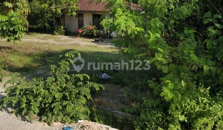 For Sale Land Area 8930M2 in Pasir Putih