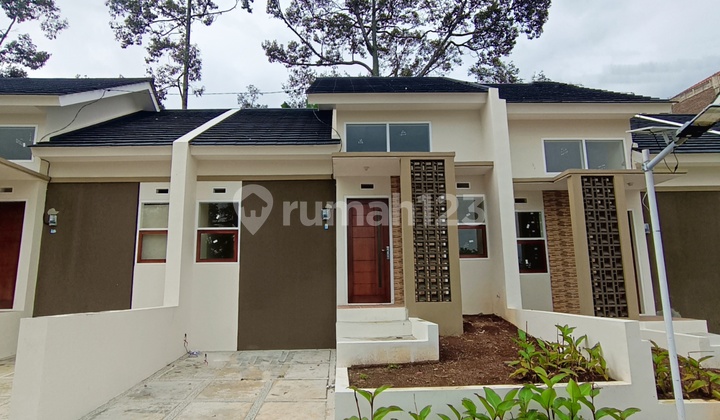 Rumah Bagus Shm Di Bumi Cileunyi Asri Dekat Tol Cileunyi Rumah Bagus Shm Di Bumi Cileunyi Asri Dekat Tol Cileunyi