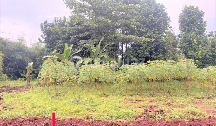 Lot 1 Million IDR per m2, Row 5 Meters & 7 Minutes to Burangkeng Toll Road