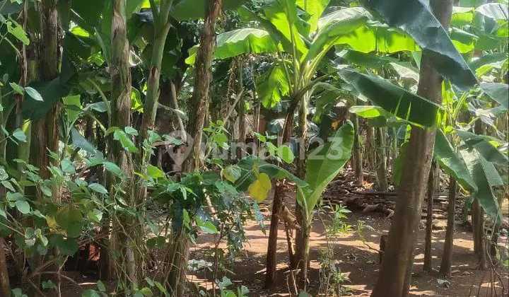 Di Jual Tanah Hook Murah Jati Asih Komsen Wibawa Mukti