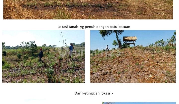Land for Sale in North Polobangkeng, Takalar, South Sulawesi
