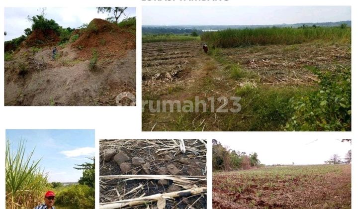 Land for Sale in North Polobangkeng, Takalar, South Sulawesi