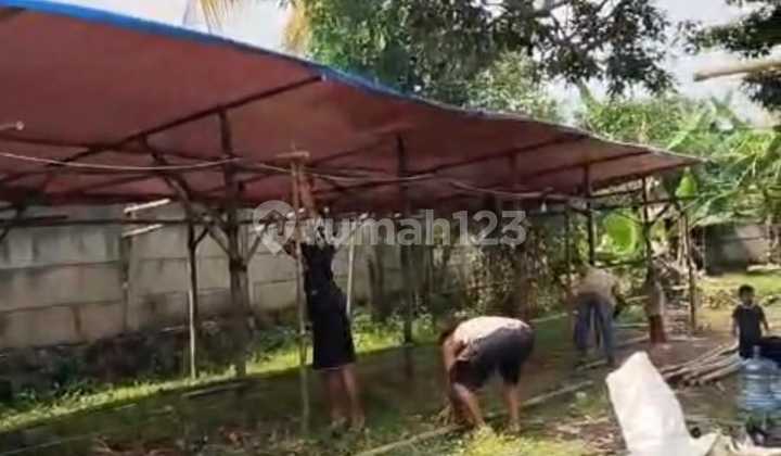 Jual Tanah Dibawah NJOP
