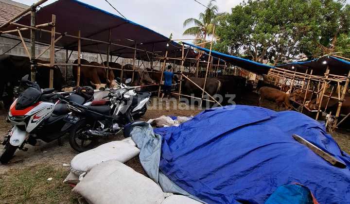 Jual Tanah Dibawah NJOP
