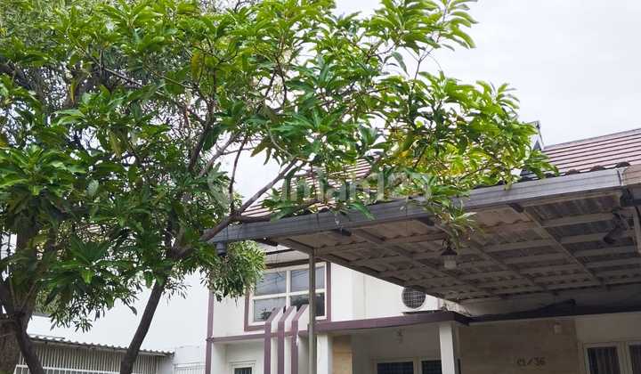 DIJUAL RUMAH JALAN KEMBAR SIAP HUNI PURI MAS DIJUAL RUMAH JALAN KEMBAR SIAP HUNI PURI MAS