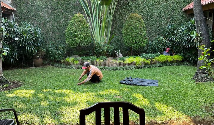 DiJual Rumah di Patal Senayan Jakarta Selatan 2