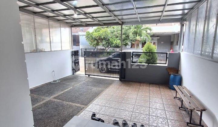 Good House Spacious Main Room 3 Tiger Statues Ready to Occupy