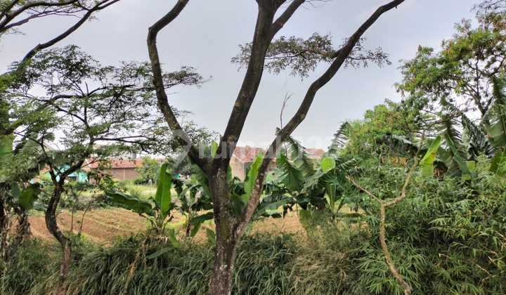 Jual Tanah Ciodeng Baleendah Jual Tanah Ciodeng Baleendah