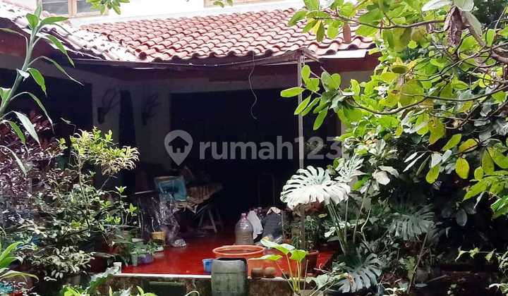 Jual Rumah Area Gunungbatu Jual Rumah Area Gunungbatu