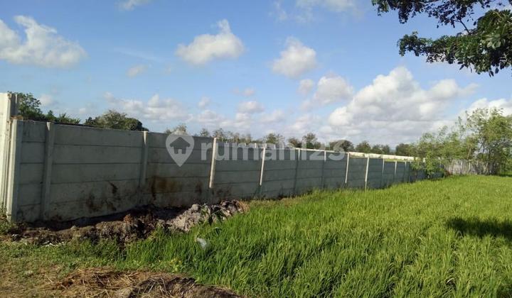 Lot Central Lombok, Affordable and Strategic