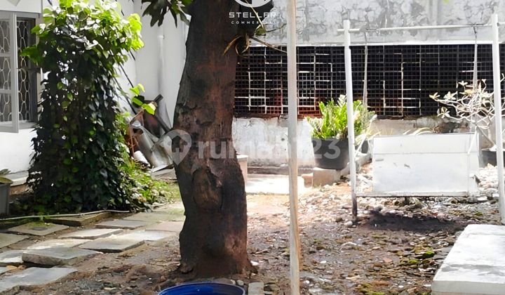 Rumah Komersial Karang Menjangan Hitung Tanah Dekat Dharmahusada Manyar Kertajaya Unair Galaxy Mall Gm Ngagel Menur Rumah Komersial Karang Menjangan Hitung Tanah Dekat Dharmahusada Manyar Kertajaya Unair Galaxy Mall Gm Ngagel Menur