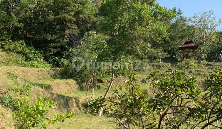 1 Hectare of Land Suitable for Hotels and Villas in Karangasem 1 Hectare of Land Suitable for Hotels and Villas in Karangasem