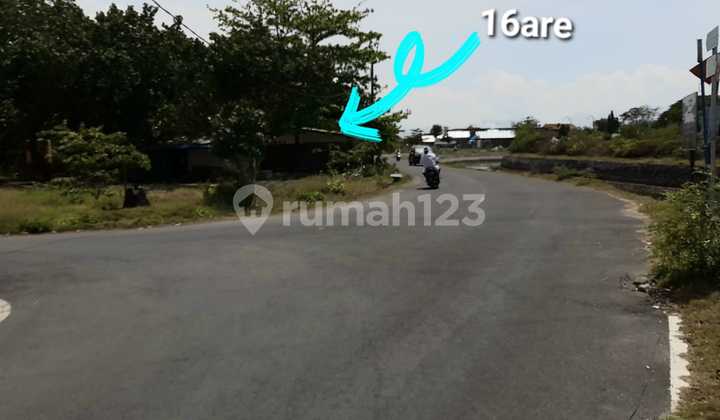 Tanah Langka dan Premium 16 Are di Serangan Mw Tanah Langka dan Premium 16 Are di Serangan Mw