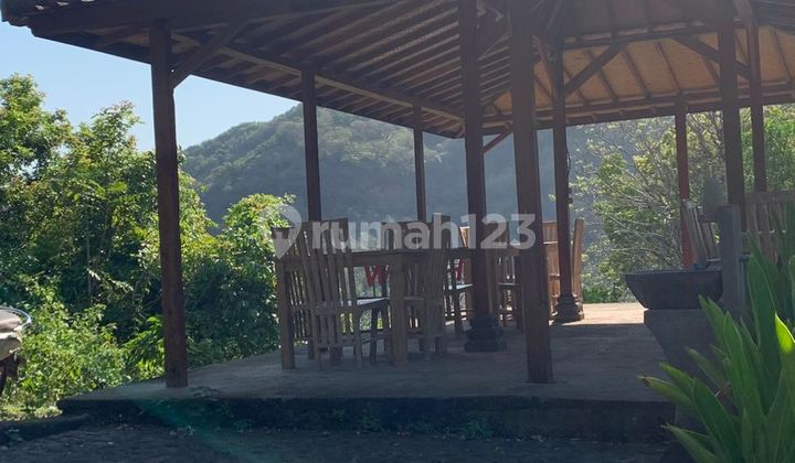 1 Hectare of Land Suitable for Hotels and Villas in Karangasem 1 Hectare of Land Suitable for Hotels and Villas in Karangasem