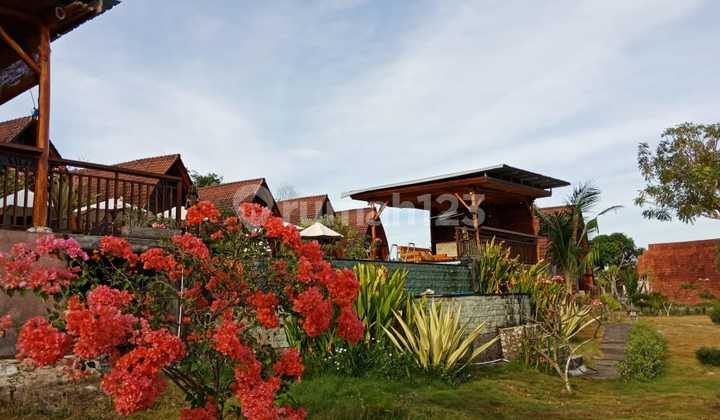 Villa View Sunset Dan Laut 12 Kamar di Nusa Penida