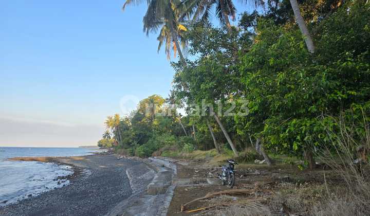 For Sale Premium Land Los Pantai Tejakula Buleleng