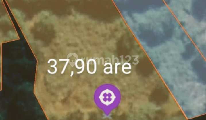 Dijual tanah view sungai dan Pantai di Pantai Nyanyi 