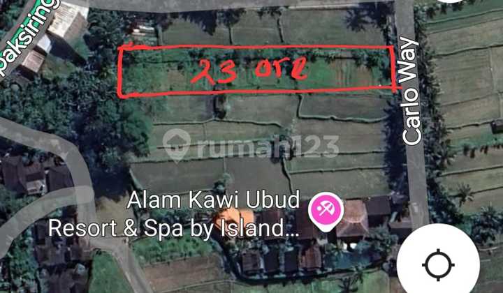 For Sale Small Plot of Land with Rice Field View in Ubud For Sale Small Plot of Land with Rice Field View in Ubud