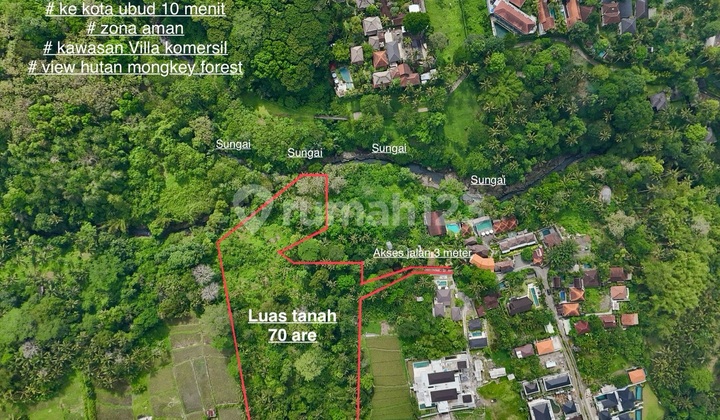 Land for Sale with Forest and River Views Woww Ubud