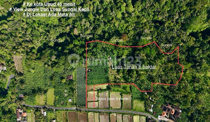 For Sale: Vie Forest Land, Rice Fields and Mountain in Payangan Ubud