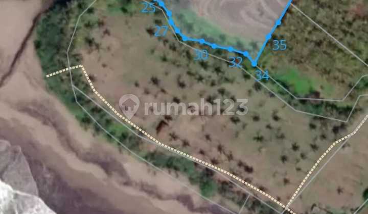 For Sale Beachfront Land Balian Tabanan For Sale Beachfront Land Balian Tabanan